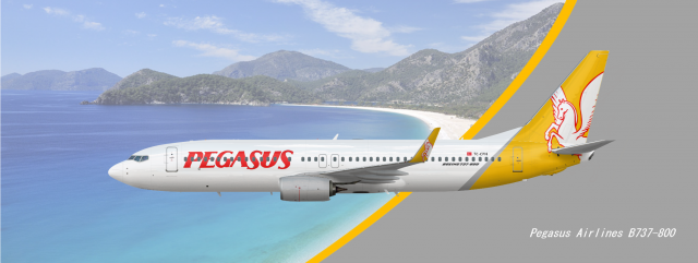Pegasus Airlines B737 800 Concept Livery