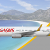 Pegasus Airlines B737 800 Concept Livery