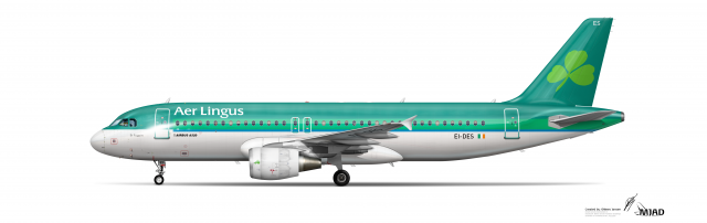 Airbus A320 214CFM Aer Lingus EI DES