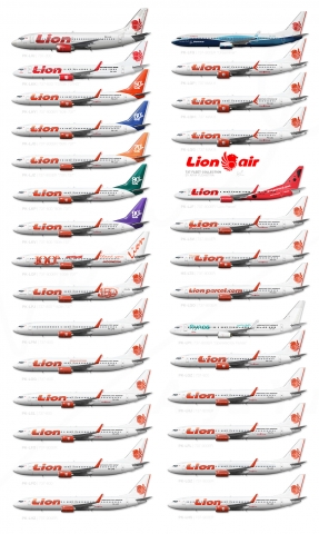 A Collection of Lion Air 737NGs