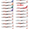 A Collection of Lion Air 737NGs