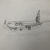 Boeing 737-800 Avelo Airlines