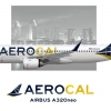 AEROCAL A320neo COVID Special