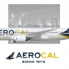 AEROCAL Boeing 787-8