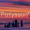 Preview Image of Patysson Airlines logo used from 2013 and onwards