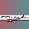 NNA Boeing 737-800 JA317N