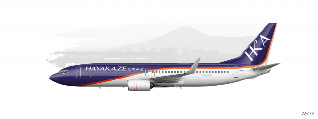 Hayakaze Airlines B737-800(WL)
