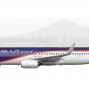 Hayakaze Airlines B737-800(WL)