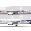 Fuxing Airlines B787-9 Poster