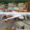 Boeing 787 Dreamliner Aviolet Boeing 787 Dreamliner Aviolet