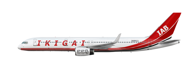 Newest Ikigai Air Bridge livery ( That I actually never used )