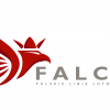 Falcon Logo