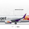 Boeing 737-800NG TigerJet