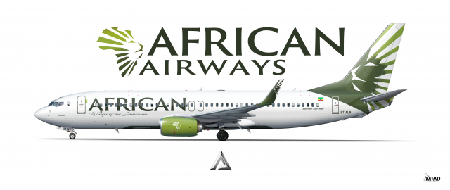 African 737 800