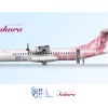 2021 East Asia Design Challenge | Sakura Air Services - さくら航空