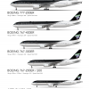 Borealis Jet Express 2001 fleet