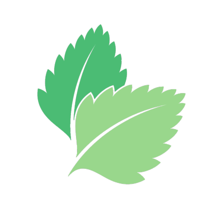 airVeruda Mint Leaves Logo (2003 - )