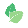 airVeruda Mint Leaves Logo (2003 - )