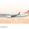 2009 | Eastern Indonesia B737-800NG