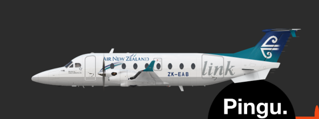 Air New Zealand Beech 1900D
