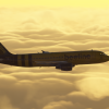 Beeline A320 Beeline A320