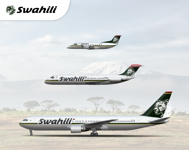 Swahili Airways Fleet - 2005