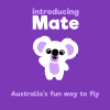 Introducing Mate