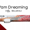 Qantas 787-9 Yam Dreaming