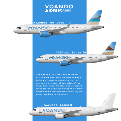 Voando A320 Family Poster