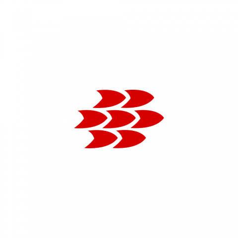 Dragon Airways Logo