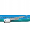 Boeing 787 8 BRANIFF INTERNATIONAL 787-8