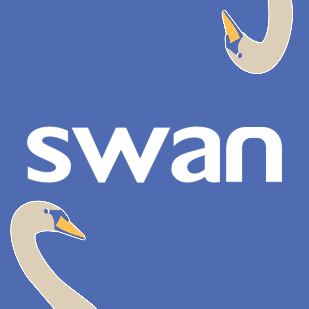 Swan Swan Gallery Airline Empires