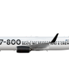 airline 737-800
