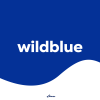 WildBlue Airways