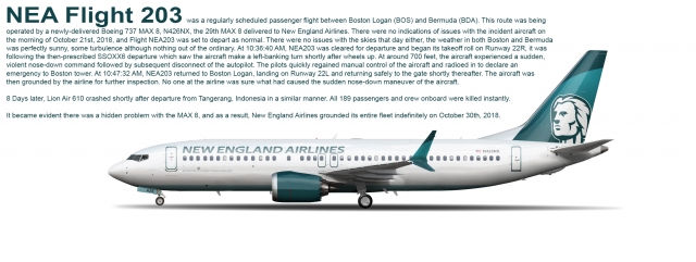 The Incident of NEA Flight 203