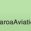 12a Aotearoa Aviation Services (old)