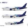 WeFly Fleet Chart