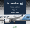 brumal air A321-253NX "hockey blues"