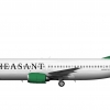 Pheasant Air 737-400