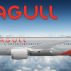 Seagull Airlines