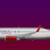 Albatross - Boeing 737-800