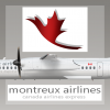 Montreux Airlines Livery DHC-8-400