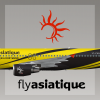 flyAsiatique Livery A320 Borussia Dortmund