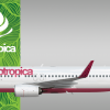 AeroTropica Boeing 737-800 | Bird Series