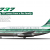 3. Vanguard Airlines Boeing 737-100 "1963-1970"