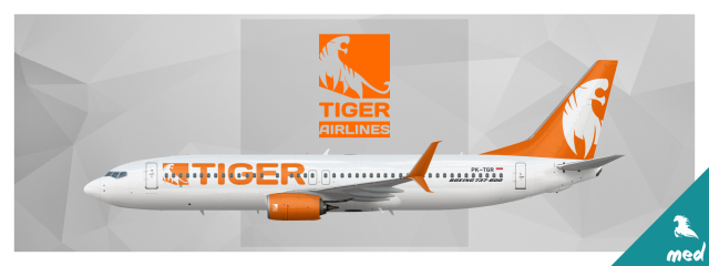 Tiger Airlines Boeing 737-800 (Scimitar)