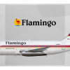 Flamingo Air Boeing 737 200