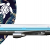 BlueHawaii DC-10