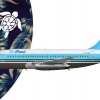 BlueHawaii 737