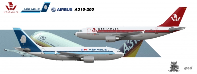 Airbus A310 (dual Westadler/Aérable livery)